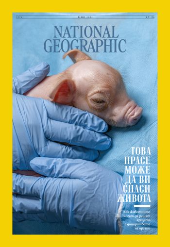 National Geographic България - 06.2025