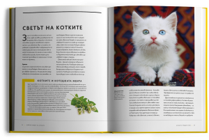 Тайният живот на котките - колекционерско издание с твърди корици