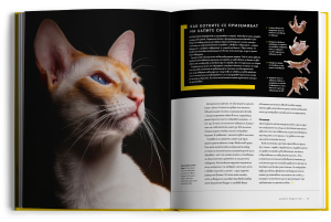 Тайният живот на котките - колекционерско издание с твърди корици